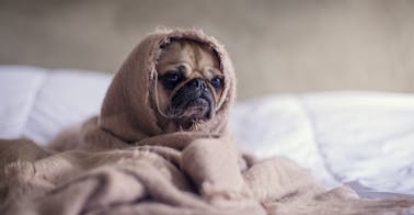 Your Manager Training Wasn’t Working Before—Now It’s Really in Trouble