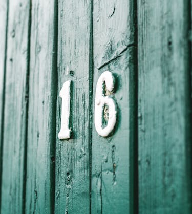 learning-management-system-examples