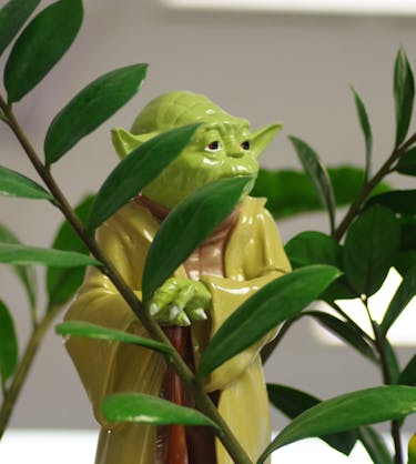 leitfaden-mitarbeiter-coaching