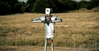 en-photo-of-tin-man-representing-technical-skills