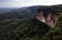 Webinar: Deforestation due diligence and regulatory compliance
